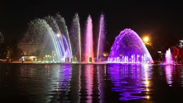 Moscú Rusia Septiembre 2019 Luces Coloridas Fuente Baile Gorky Park — Vídeos de Stock