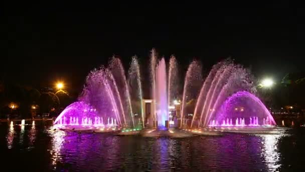 Moscow Russia September 2019 Colorful Lights Dancing Fountain Gorky Park — 비디오