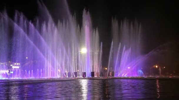 Lumières Colorées Fontaine Dansante Dans Gorky Park Nuit Moscou Russie — Video