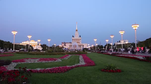 Moscou Russie Août 2019 Monuments Sur Territoire Vdnkh Parc Des — Video