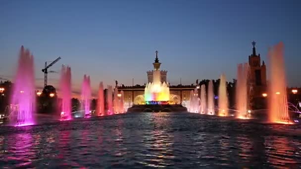 Fountain Stone Flower Vdnkh Moscow Vdnkh Called Also All Russian — Stock Video