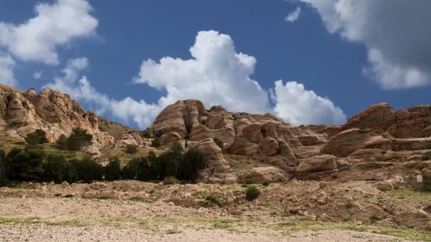 ペトラ ヨルダン 中東の山々 ペトラは1985年からユネスコの世界遺産に登録されています — ストック動画