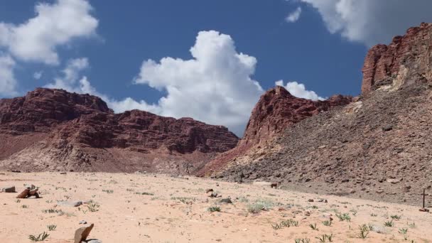 Pustynia Wadi Rum Jordania Bliski Wschód Znana Również Jako Dolina — Wideo stockowe