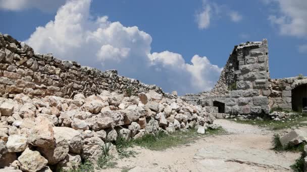 Ajloun Ajyubid Kastélya Jordánia Északi Részén Mozgó Felhők Hátterében Században — Stock videók