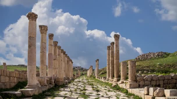 Római Romok Jordániai Jerash Városában Ókori Gerasa Jerash Fővárosában Legnagyobb — Stock videók