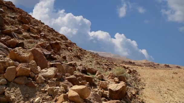 移動雲 ヨルダン 中東の背景に石の砂漠 典型的な乾燥した風景 — ストック動画