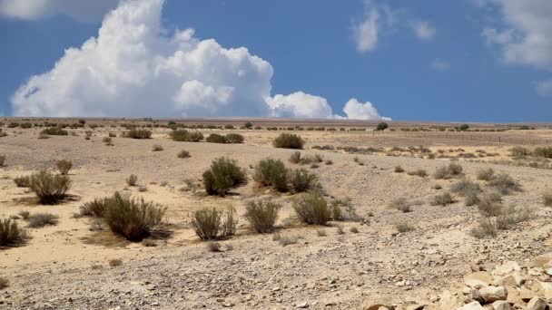 Stenen Woestijn Typisch Dorre Landschap Tegen Achtergrond Van Bewegende Wolken — Stockvideo