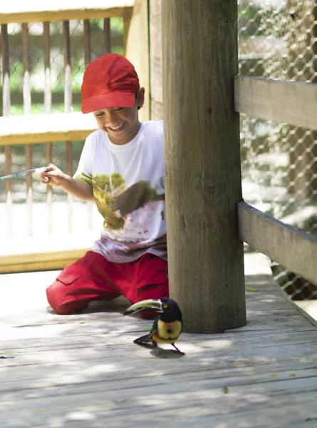 Happy Boy Playing Toucan Jungle — Stock Photo, Image