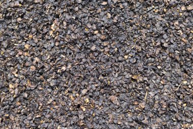 Kompost yığını toprak Humus hazır, çürük meyve zeminde yapılan