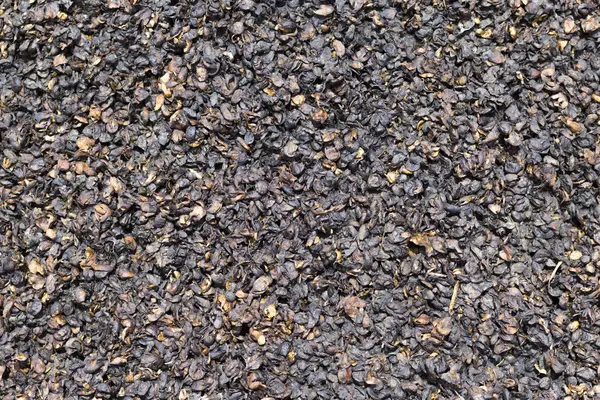 Kupie Gleby Humus Gotowy Zgniłe Owoce Ziemi Się Kompost — Zdjęcie stockowe