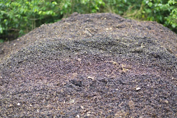 Tumpukan Humus Tanah Siap Buah Busuk Tanah Yang Dibuat Kompos — Stok Foto