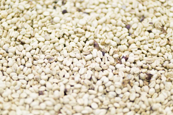 未经烘焙咖啡豆的背景纹理 — 图库照片