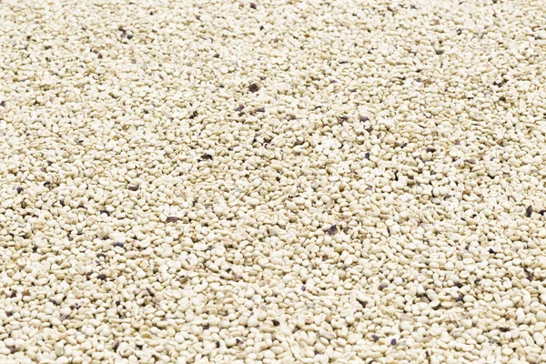 未经烘焙咖啡豆的背景纹理 — 图库照片