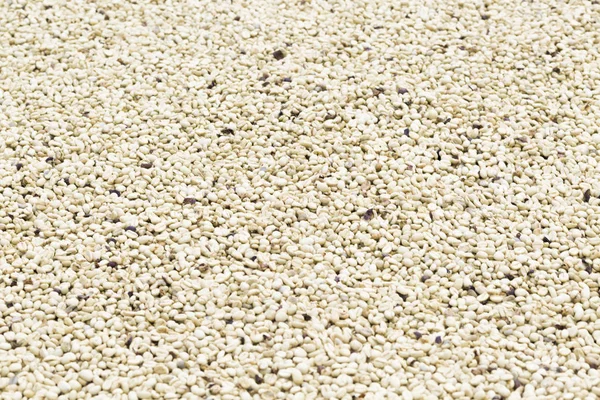 Background Texture Unroasted Coffee Beans — Stock Photo, Image