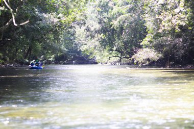 Bir grup insan su sporları nehir teknede kürek yapıyor