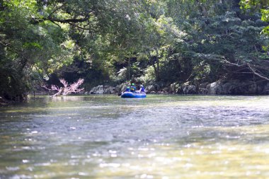 Bir grup insan su sporları nehir teknede kürek yapıyor