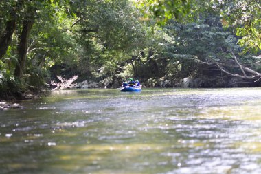 Bir grup insan su sporları nehir teknede kürek yapıyor