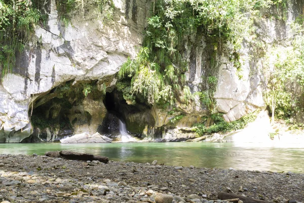 Belo Rio Natural Floresta Verde Com Montanha Fundo — Fotografia de Stock