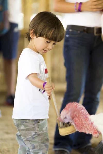 Little Boy Feeds Turkey Zoo — Stock Photo, Image