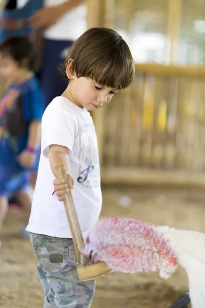 Little Boy Feeds Turkey Zoo — Stock Photo, Image