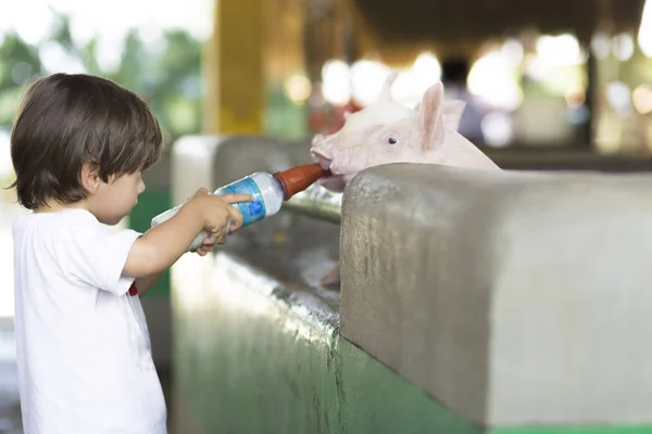 Rapaz Adorável Alimenta Porco Zoológico — Fotografia de Stock