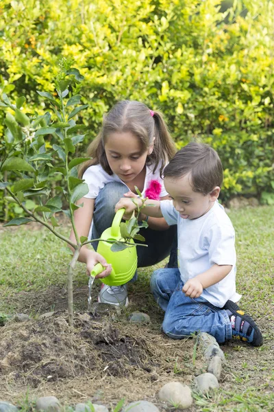 Happy Children Planting Garden Park — Stock Photo, Image