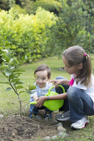 Happy Children Planting Garden Park — Stock Photo, Image