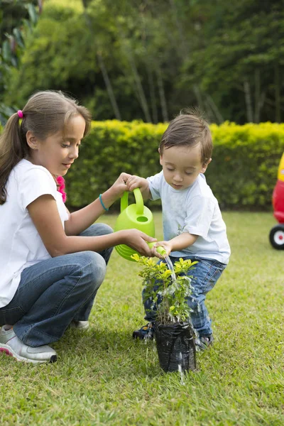 Щасливі Діти Садівництво Парку — стокове фото