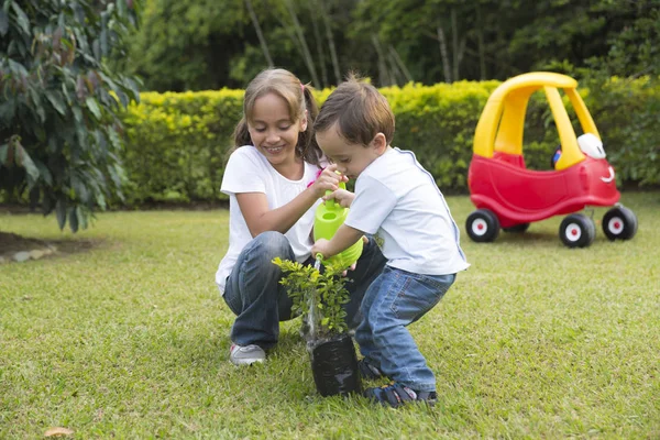 Gelukkige Kinderen Planten Tuin Het Park — Stockfoto