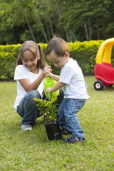 Gelukkige Kinderen Planten Tuin Het Park — Stockfoto