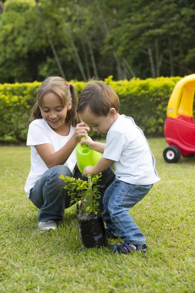 Happy Children Planting Garden Park — Stock Photo, Image