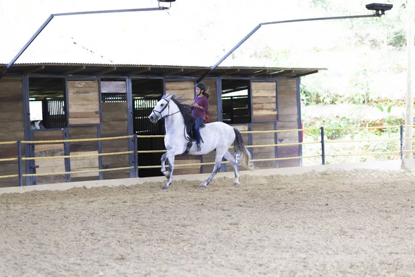 Hermosa Adolescente Montando Caballo Rancho — Foto de Stock