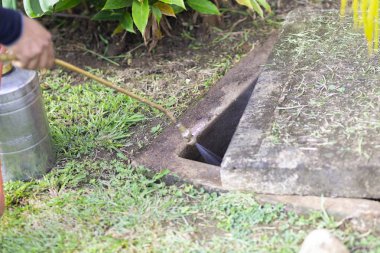 Profesyonel bir tedavi haşere kontrol yardım