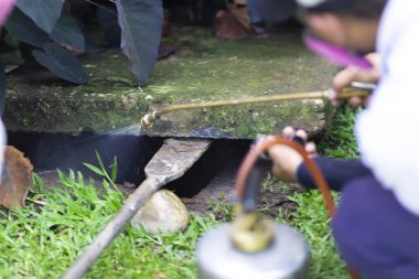 Profesyonel bir tedavi haşere kontrol yardım