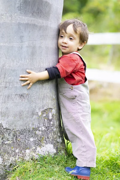 Маленький Щасливий Хлопчик Обіймає Дерево Насолоджуючись Деревом — стокове фото
