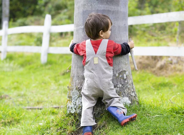 ツリーを楽しんで 幸せな少年を少し 木をハグ — ストック写真