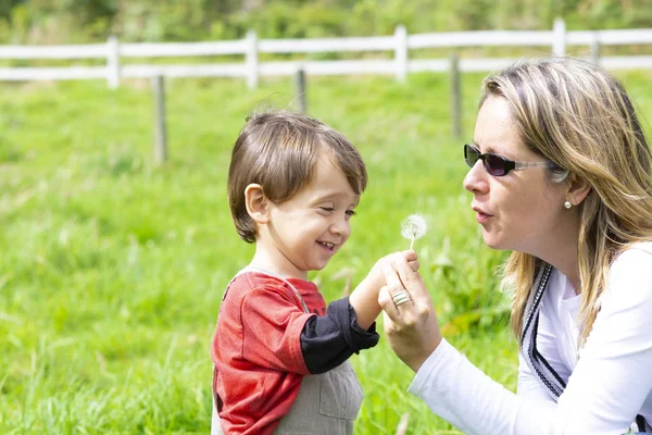 Happy Mother Boy Blowing White Dandelion Outdoors — Stock Photo, Image