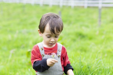 Mutlu çocuk açık havada beyaz karahindiba üfleme
