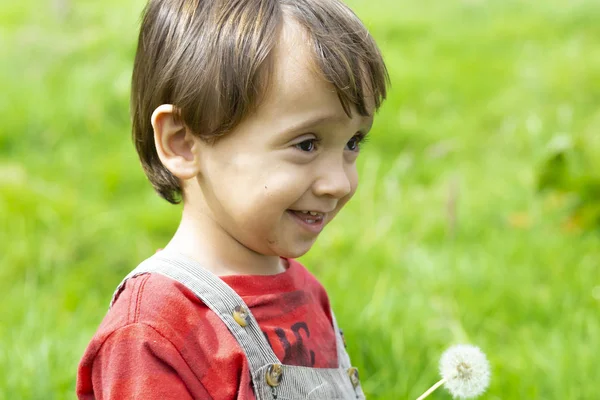 Feliz Chico Soplando Diente León Blanco Aire Libre — Foto de Stock