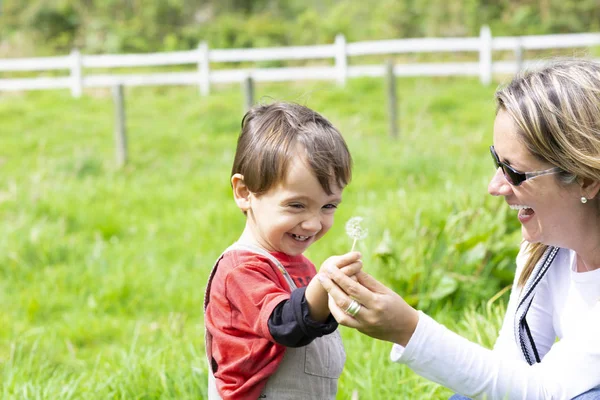 Happy Boy Blowing White Dandelion Outdoors — Stock Photo, Image