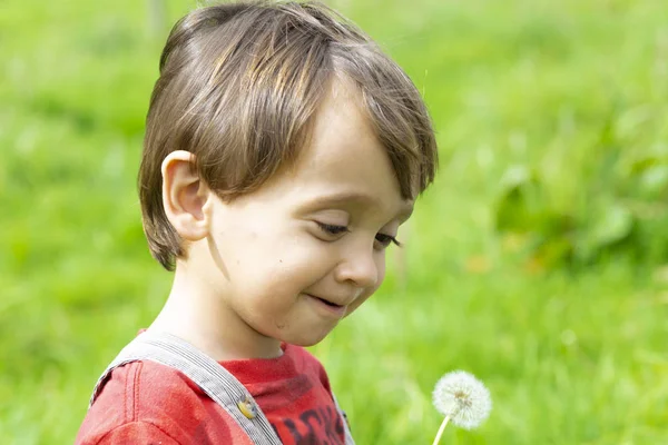 Happy Boy Blowing White Dandelion Outdoors — Stock Photo, Image