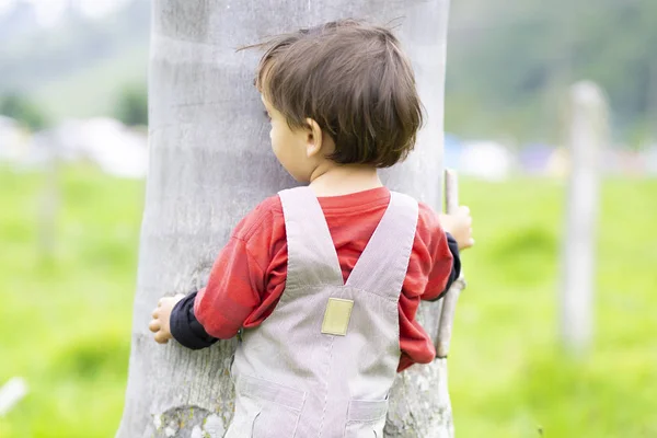 Little happy boy hugging a tree, enjoying the tree