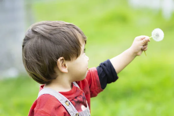 Happy Boy Blowing White Dandelion Outdoors — Stock Photo, Image