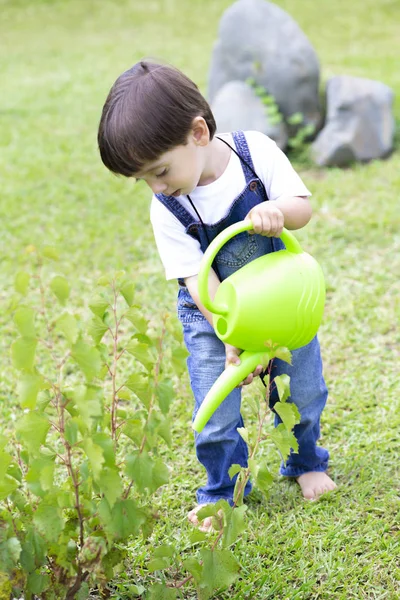 Happy Boy vattning växter — Stockfoto