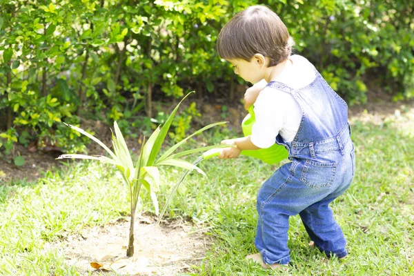 Heureux garçon arrosage plantes — Photo