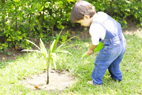 Glücklicher Junge, der Pflanzen gießt — Stockfoto