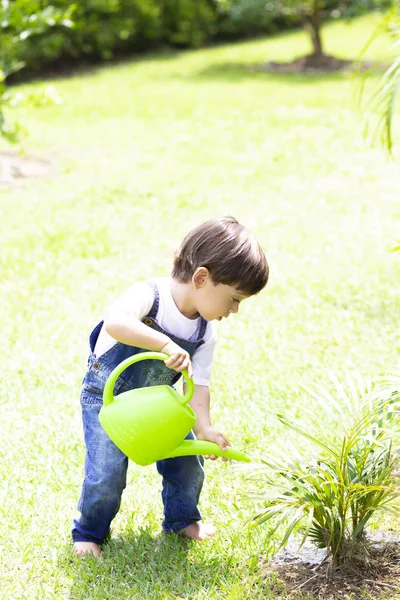 Gelukkige jongen drenken planten — Stockfoto