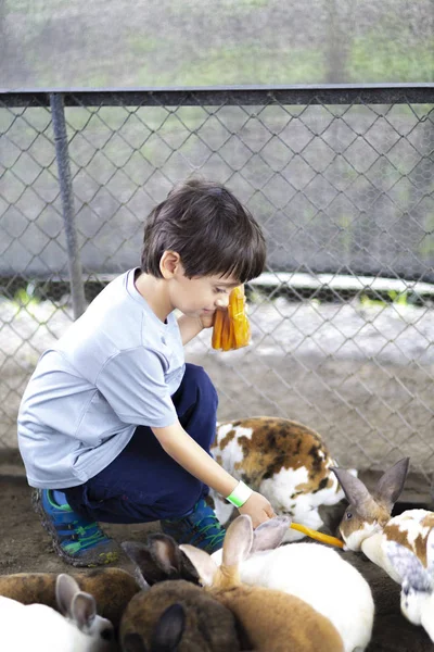 Menino feliz brincando com coelho — Fotografia de Stock