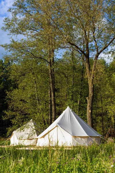 Canvas bell tents at the forest on a sunny day