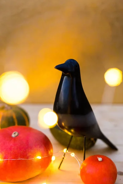 Хэллоуин фон с черной птицей и тыквами — стоковое фото